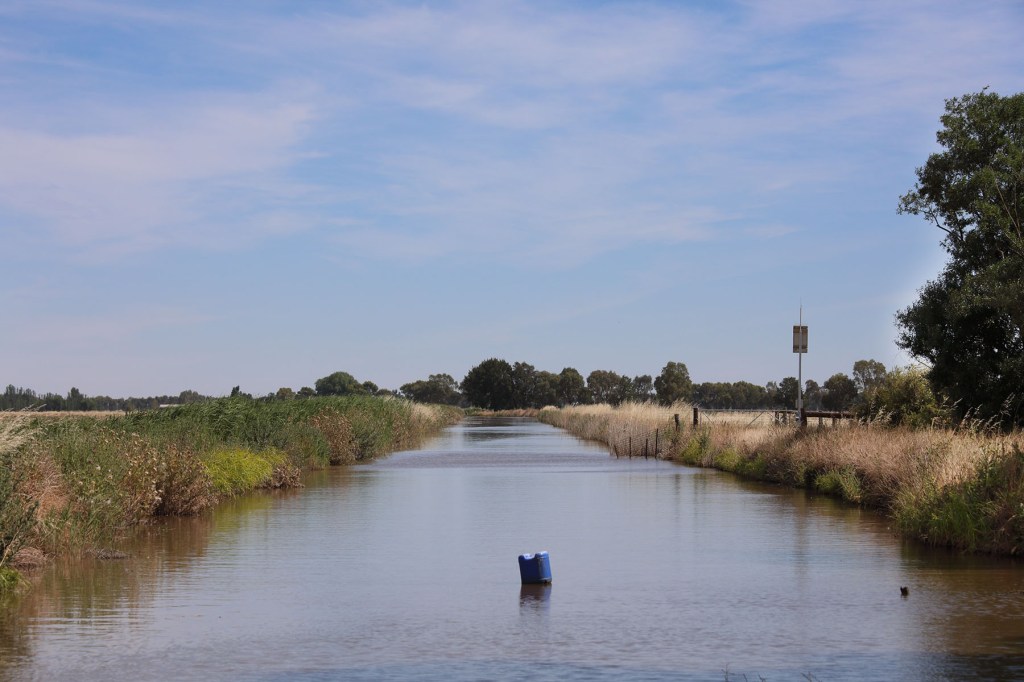 Thumbnail for Report finds holes in Murray water recovery scheme