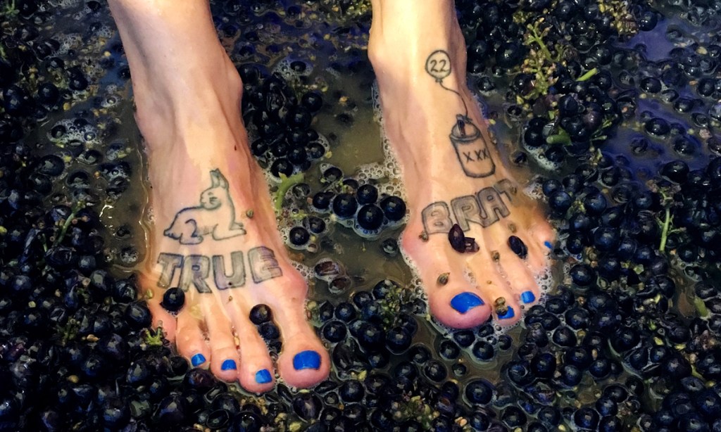 In Australia, tootsies -
 but not water - were always officially permitted in wine. Photo: Maynard James Keenan