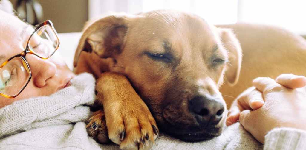 Thumbnail for Guilty about that afternoon nap? Don’t be. It’s good for you.