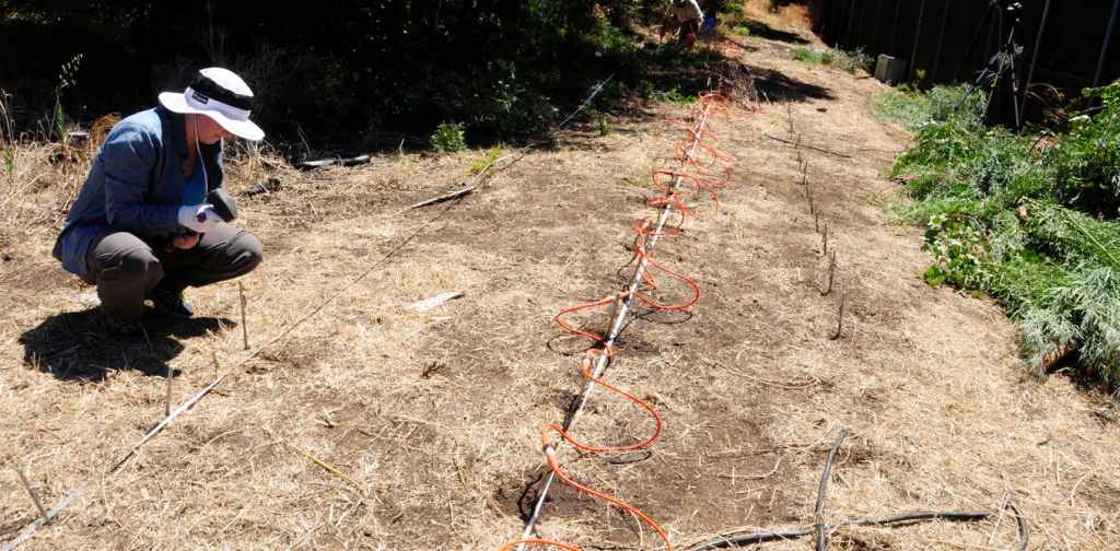 An ERT survey line on the New Castalloy site: the metal pegs allow electricity to be injected into the ground and the orange cable carries the current to the pegs.