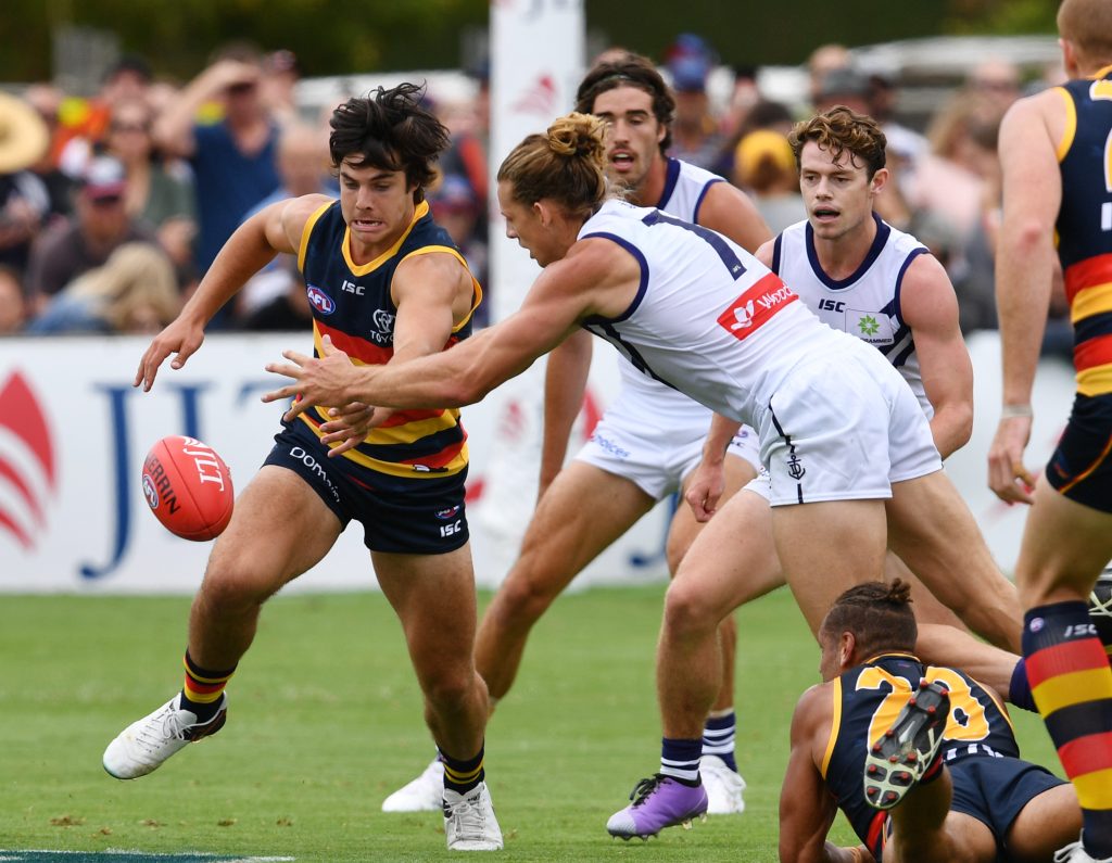 Thumbnail for Crows’ debutant a “beast”, says Eddie