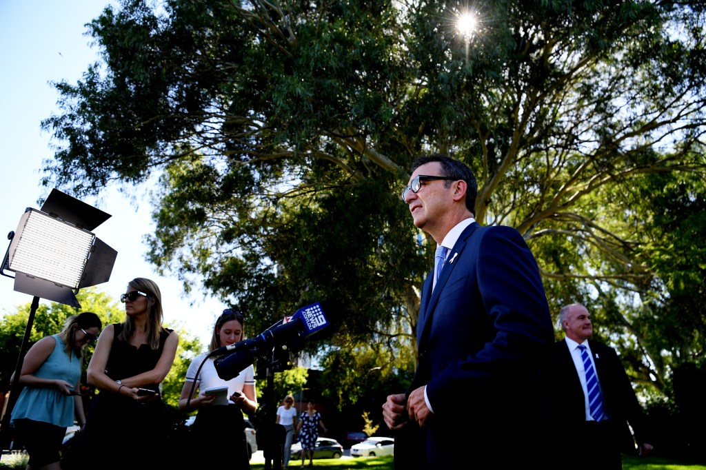 Liberal leader Steven Marshall announcing his election commitment on domestic violence today. Photo: AAP/Tracey Nearmy