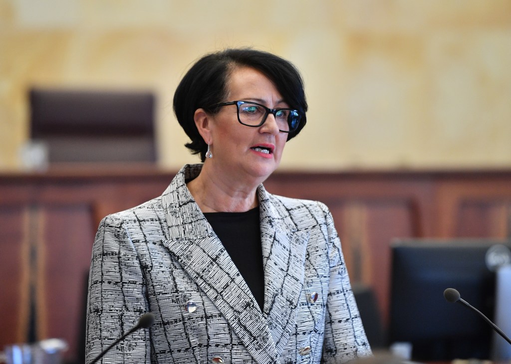 Thumbnail for New SA laws to crack down on domestic violence