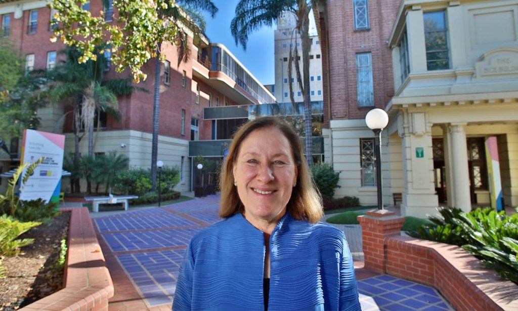 Dr Ilse Treurnicht says setting up a business innovation hub 'requires collaboration as an extreme sport'. Photo: Tony Lewis / InDaily 