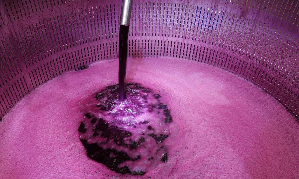 Senator Anne Ruston's April 1 declaration is intended to ensure our export wines contain fewer impurities and are made only by "fit and proper" people. Photo: Philip White