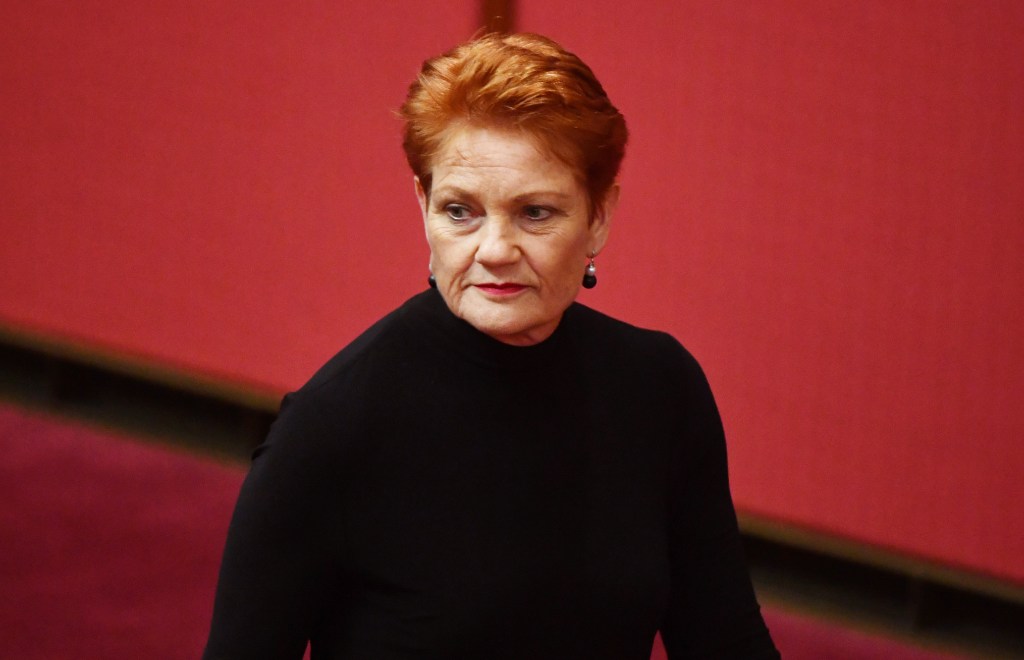 Thumbnail for Hanson explains why she dumped support for business tax cuts