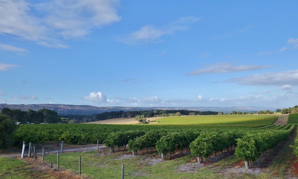 The Willunga Escarpment from the top of Blewett Springs: gradually growing more mansions... Photo: Philip White
