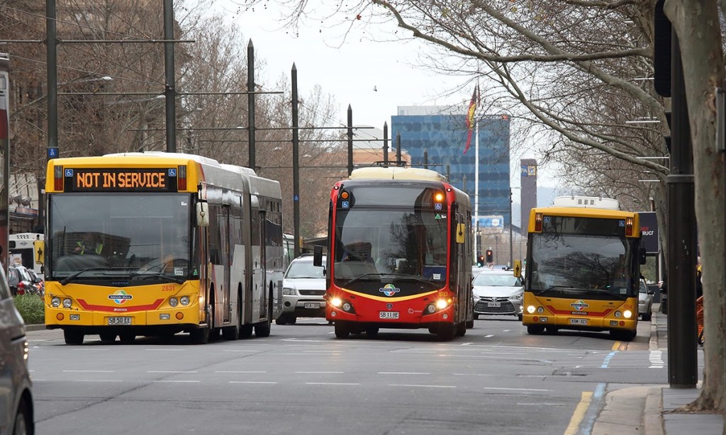 Thumbnail for Single operator to control bus services across central Adelaide