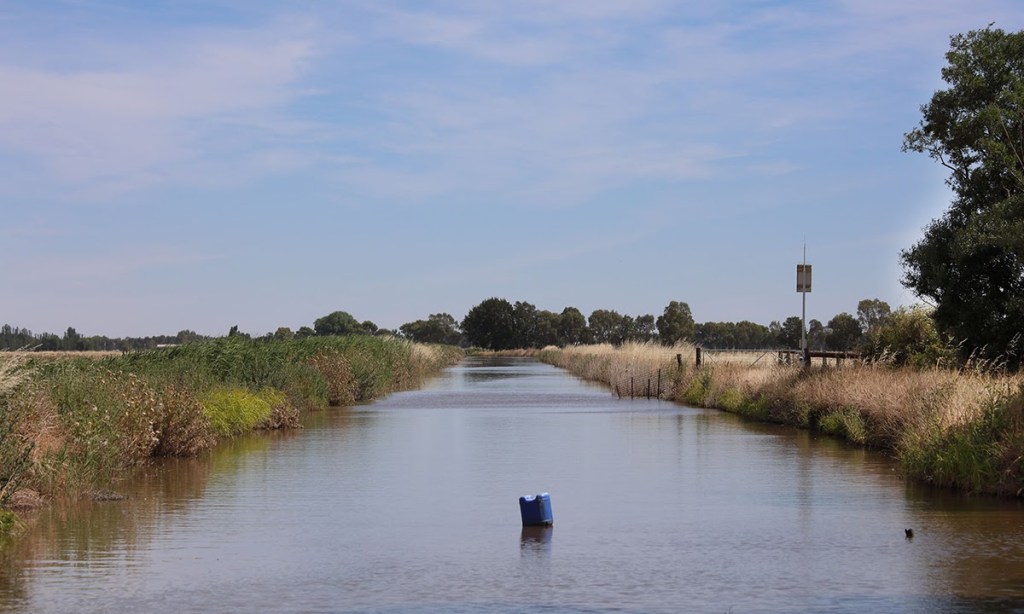 An irrigation canal near Swan Hill, Victoria. Photo: Tony Lewis/InDaily