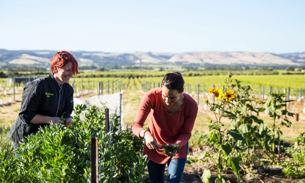 Thumbnail for Fleurieu food book set for spring launch