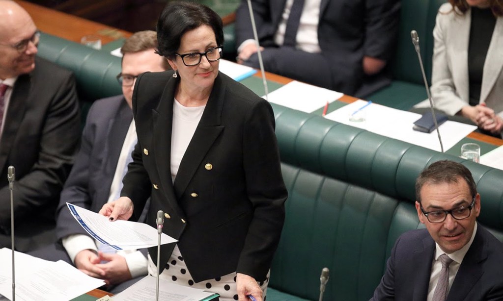 Attorney-General Vickie Chapman in parliament. Photo: Tony Lewis / InDaily