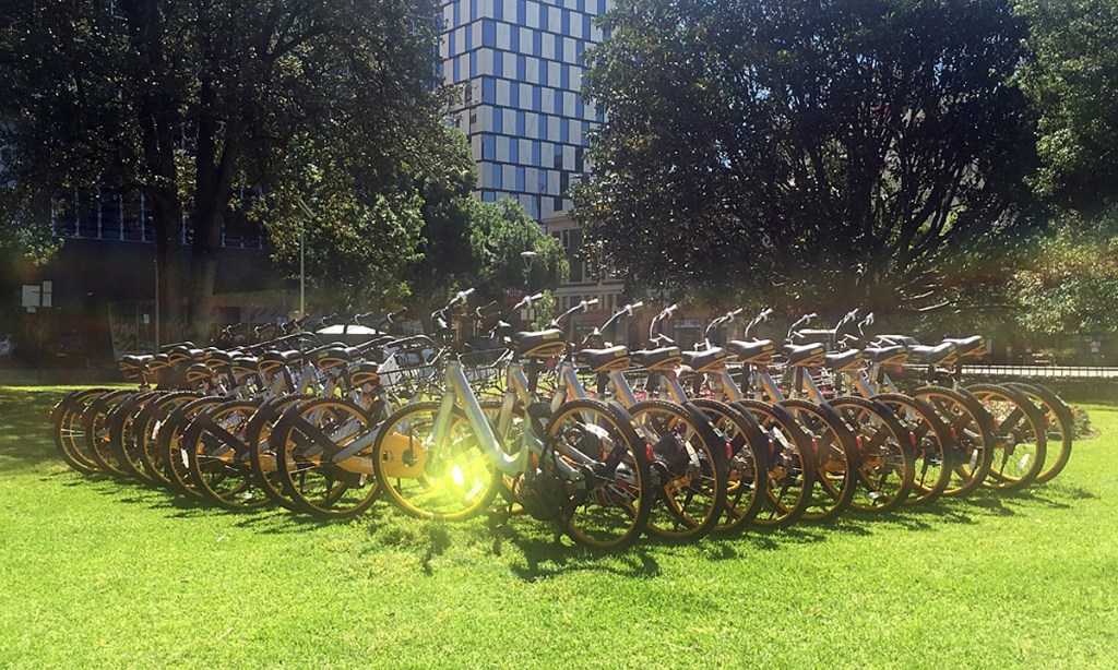 Thumbnail for Chinese company wins Adelaide bikeshare monopoly as competitor ordered to leave