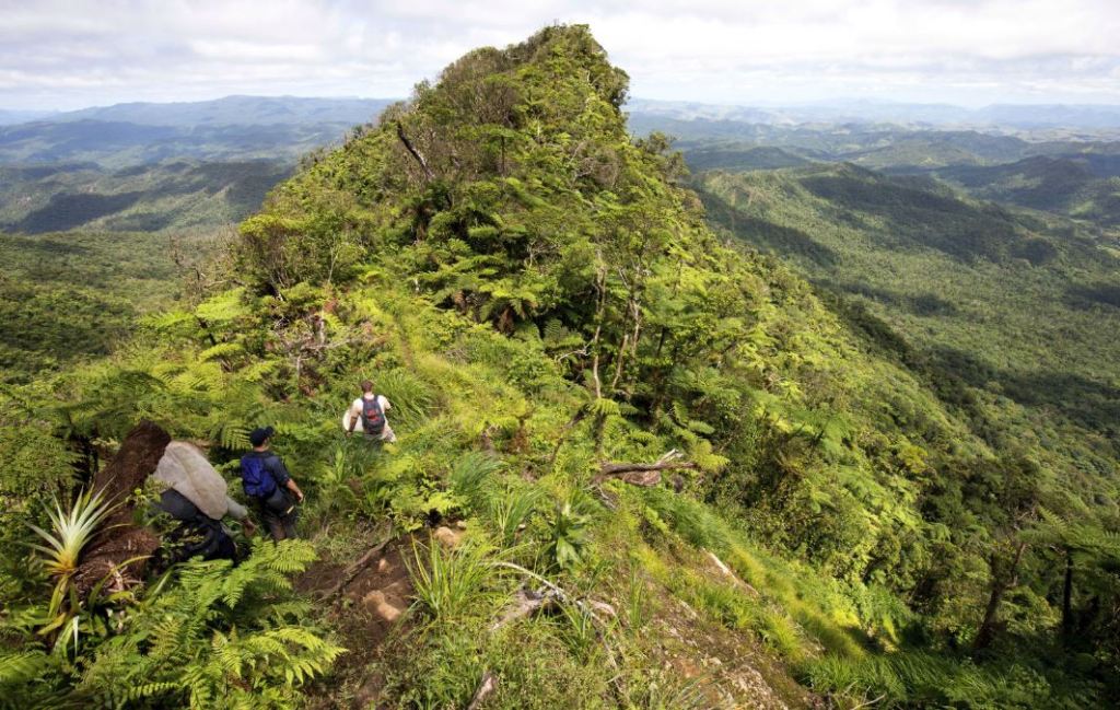 Thumbnail for Nature’s secrets abound in Fiji highlands