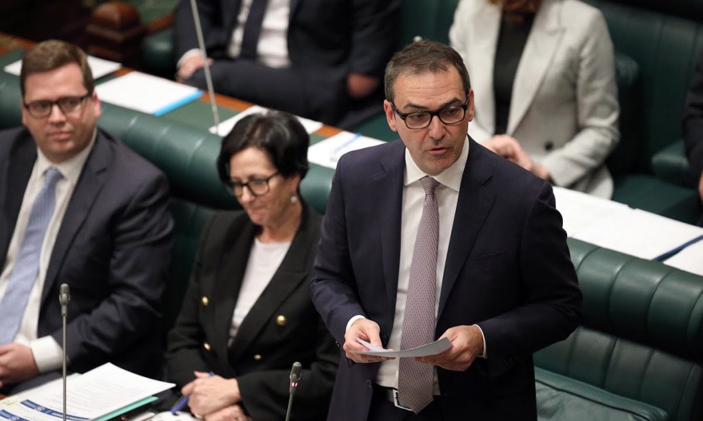 Steven Marshall has denied in parliament influencing public sector appointments. Photo: Tony Lewis / InDaily
