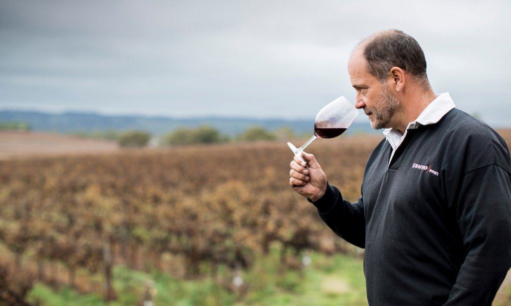 Thumbnail for SA Shiraz wins top award at Vinexpo
