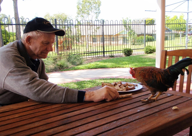 Thumbnail for New direction for better aged care homes