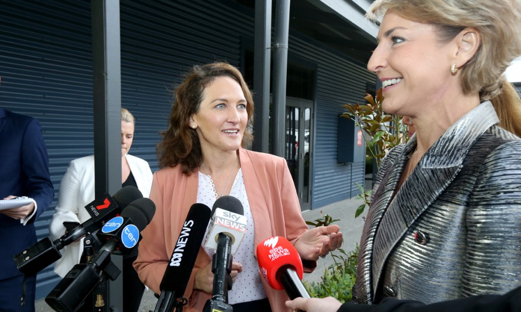 Thumbnail for Downer faces pro-ABC campaign in Mayo