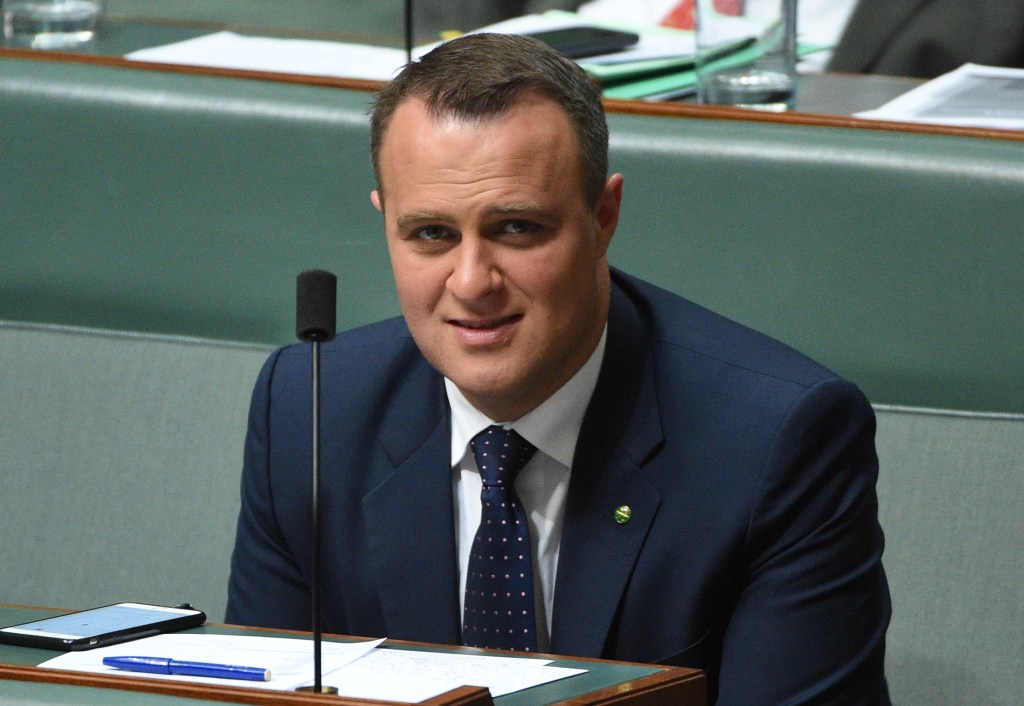 Thumbnail for Govt MP opts out of e-health record