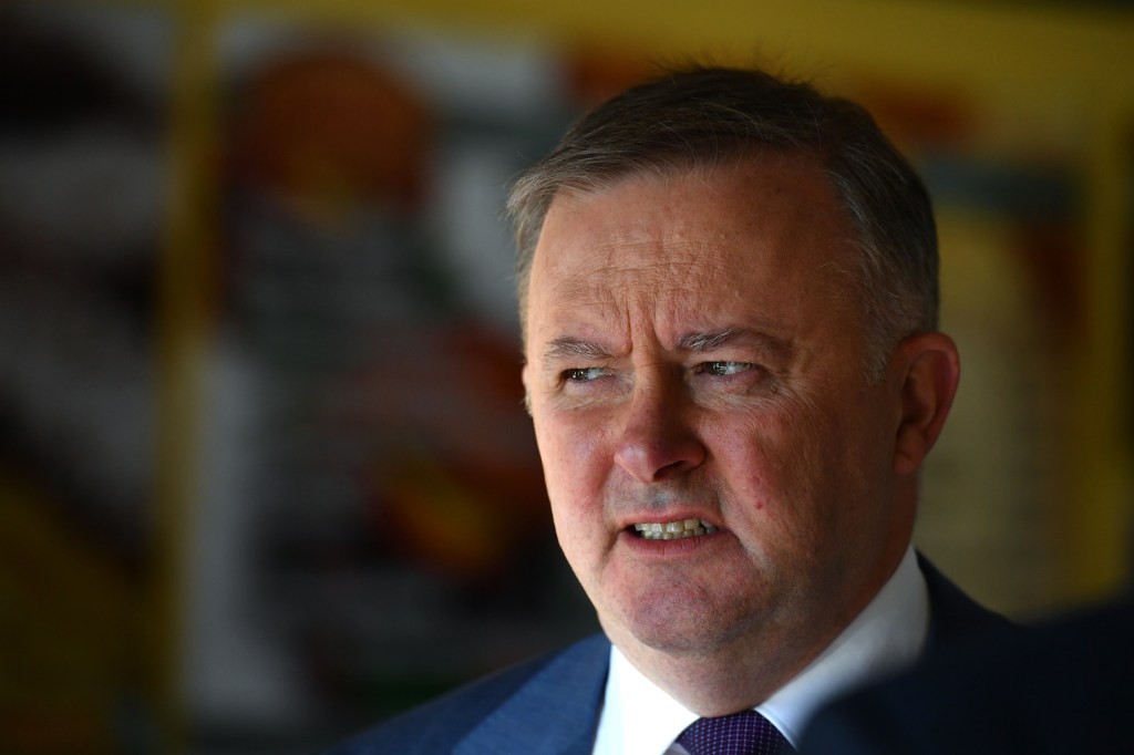 Thumbnail for Albanese is race-ready if by-election voters fire starting gun