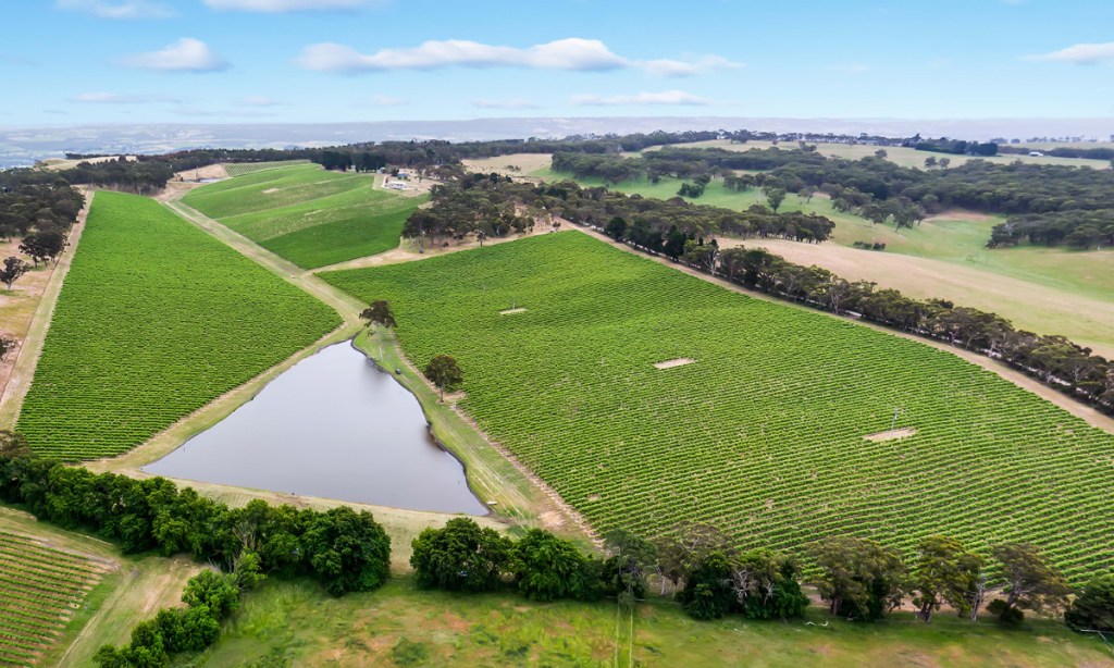 The Atkins family vineyards at Kuitpo - the building repurposed for the cellar door is near the top of the image.