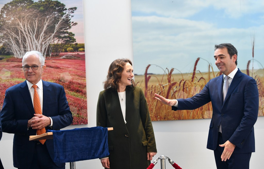 Thumbnail for Anti-ABC, Turnbull-bashing Lib poised for senior role