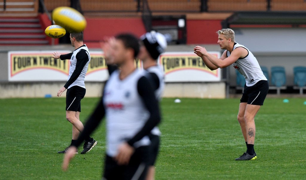 Thumbnail for Frampton comes alive: long-awaited debut for injury-plagued Power ruck