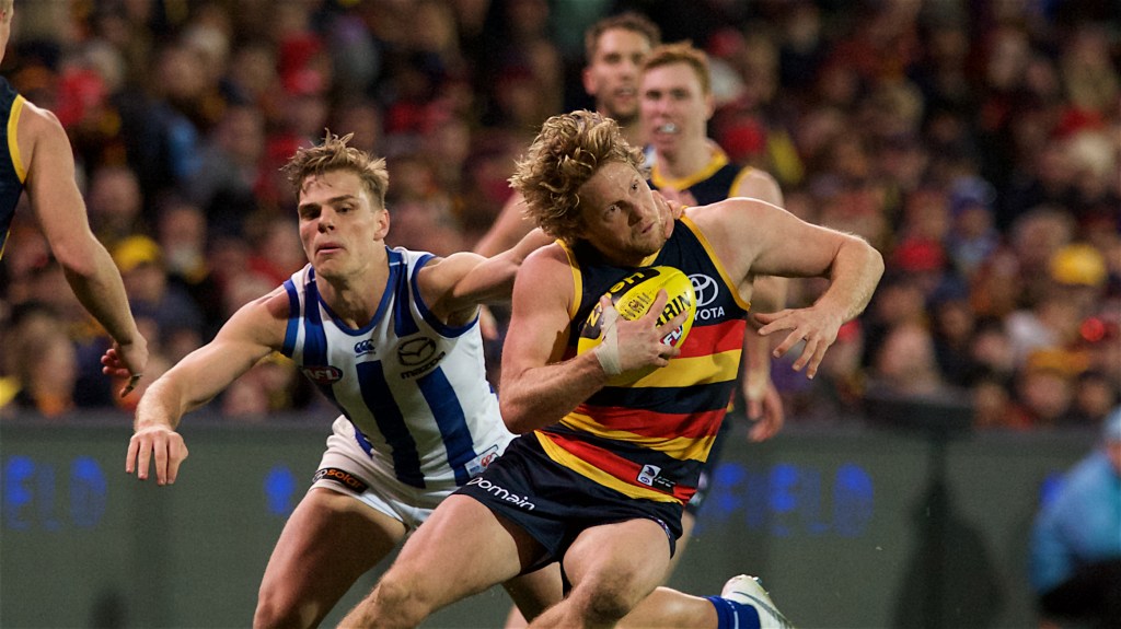 Sure, we haven't made the finals, but let's not start losing our heads. Photo: Michael Errey / InDaily
