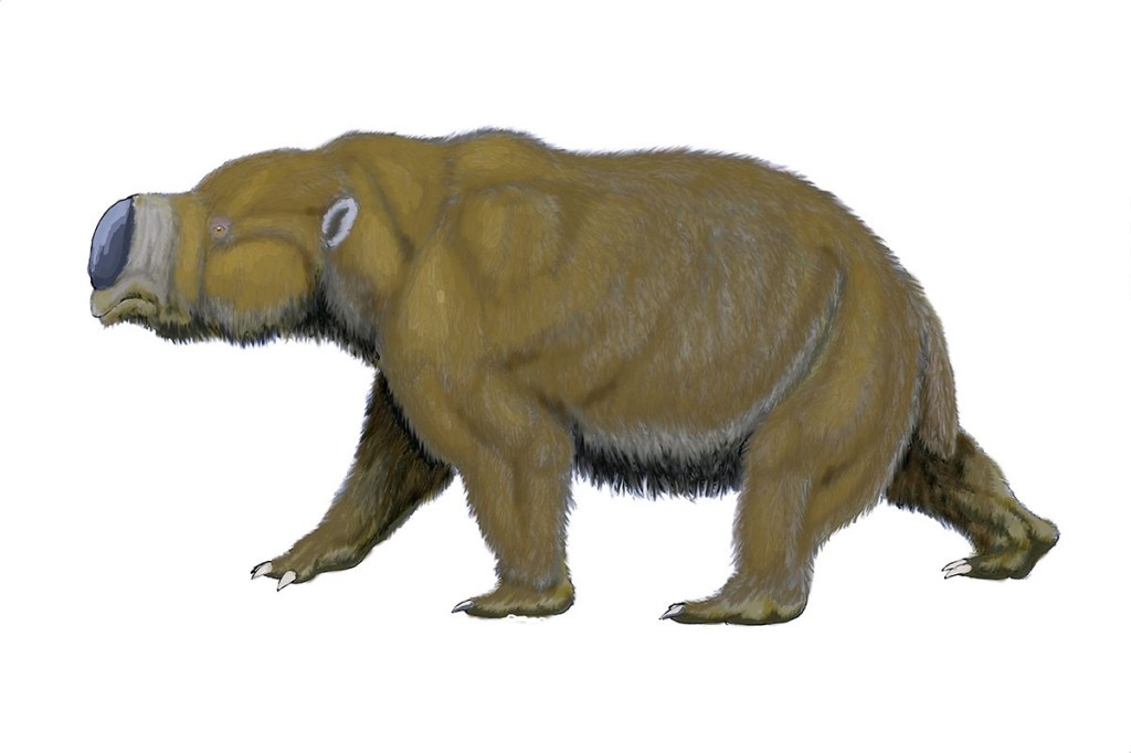 Thumbnail for Follow in the footsteps of megafauna