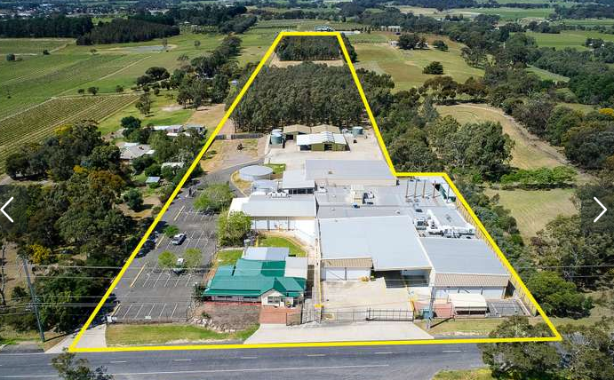 Thumbnail for New bid for SA-based medicinal cannabis hub