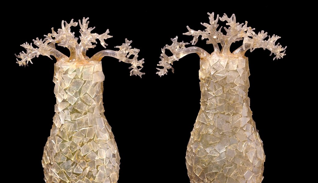 A glass model of amoebae, created by Leopold and Rudolf Blaschka in the late nineteenth century and held at the Natural History Museum in London. Photo: Mary Evans Picture Library