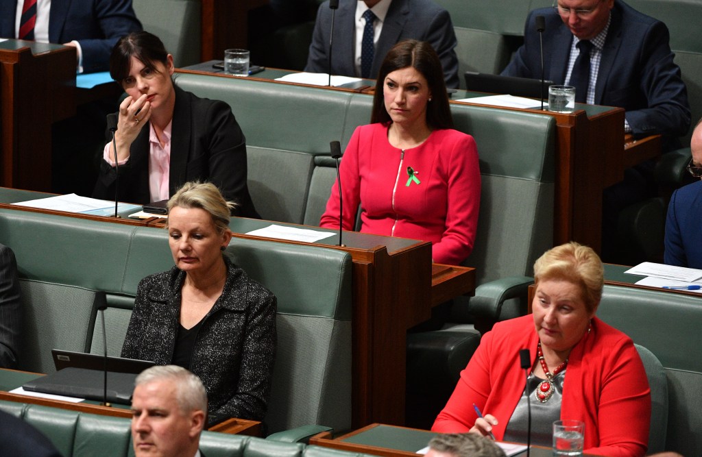 Ann Sudmalis (bottom right) during Question Time this week. Photo: AAP/Mick Tsikas