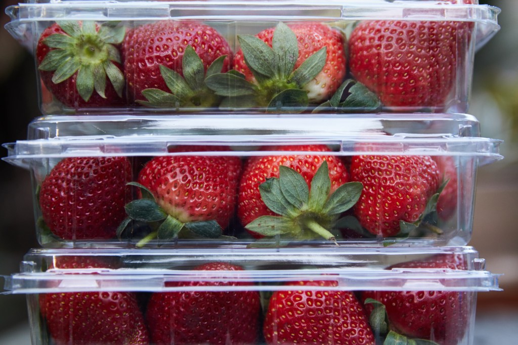 Thumbnail for Strawberry tampering prompts harsh new penalties