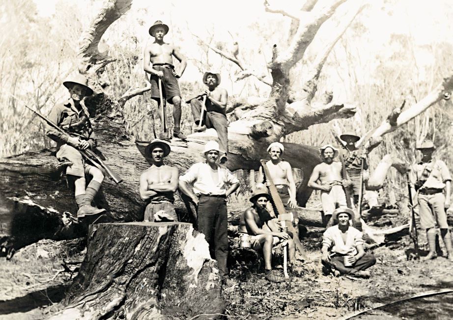 A wood-cutting party from the Trial Bay camp in NSW in the First World War. National Library of Australia photo by Karl Lehmann (Nla.cat-vn4969432).