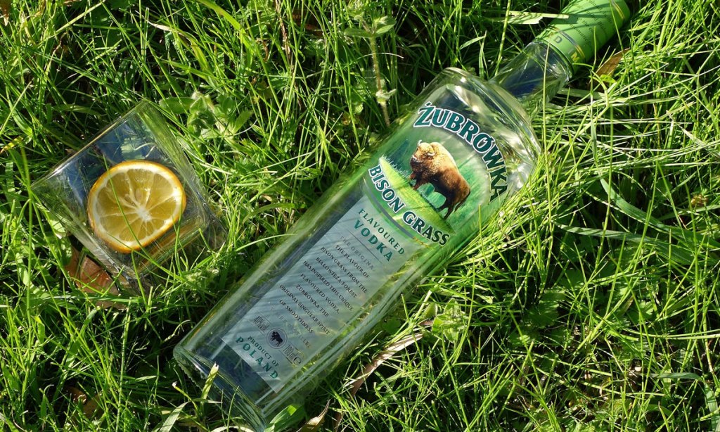 Thumbnail for Bitter-sweet: vodka with a hint of buffalo grass