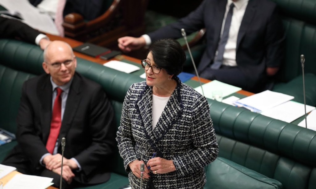 Vickie Chapman in parliament. Photo: Tony Lewis / InDaily