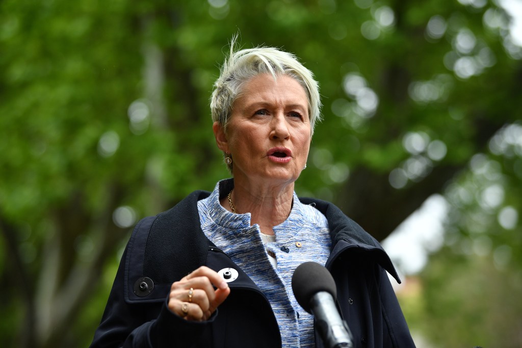 Independent candidate Dr Kerryn Phelps is in the lead in Wentworth, according to a new poll. Photo: AAPJoel Carrett