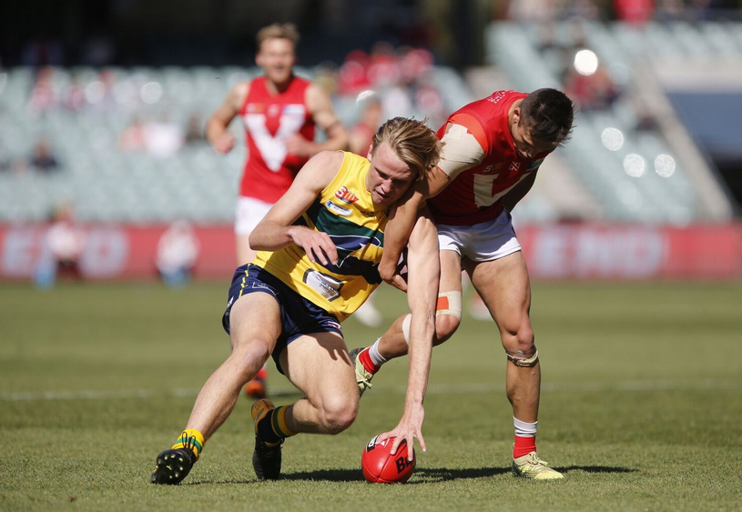 Thumbnail for ‘We’ll poach SA guns back from Gold Coast’, Power warns