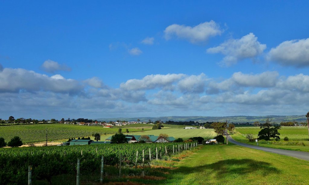 Thumbnail for Development plans fan McLaren Vale’s fighting spirit