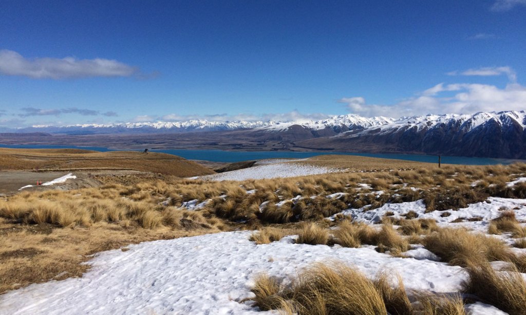 The view from the Roundhill Ski Area, with Lake Tekapo in the background. Photo: Suzie Keen