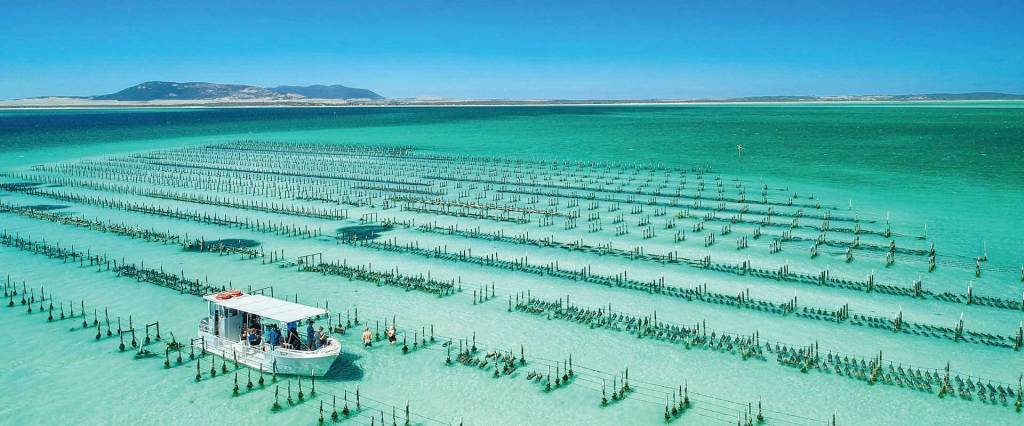 Thumbnail for Out of the Blue: Eyre Peninsula’s stunning and secret transformation into a world-class holiday haven