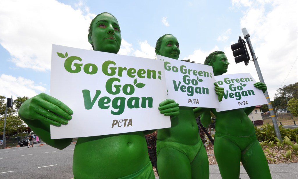 Thumbnail for Why do vegans have such bad reputations?