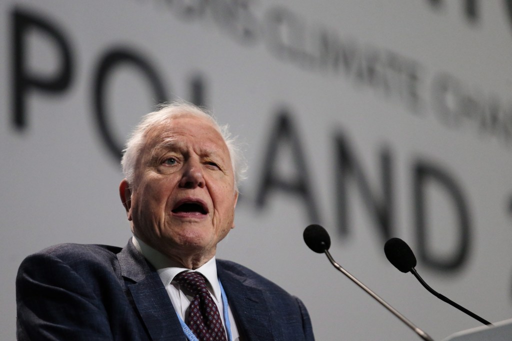 Thumbnail for David Attenborough’s dire warning on climate change