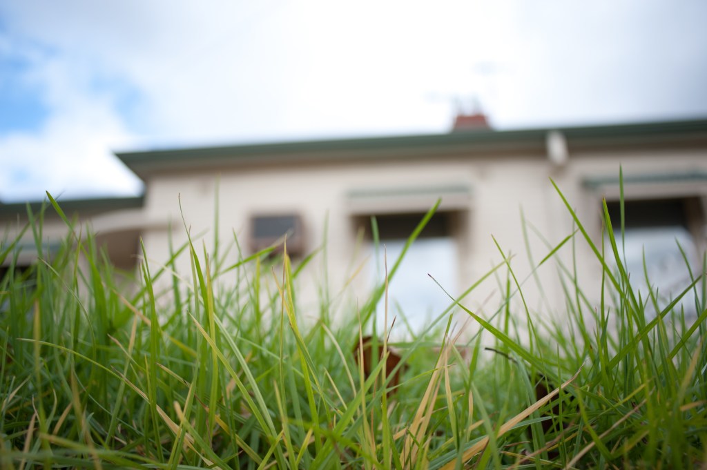 Thumbnail for More than half of SA rental properties in need of repair