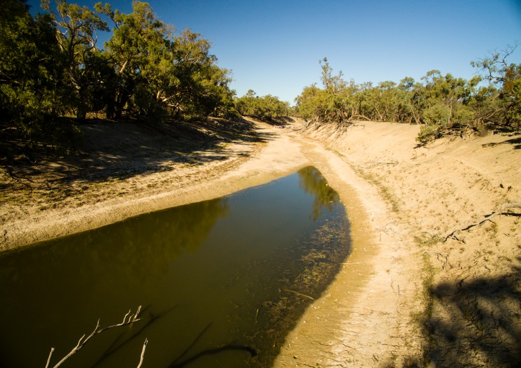 Thumbnail for The Darling River is simply not supposed to dry out, even in drought