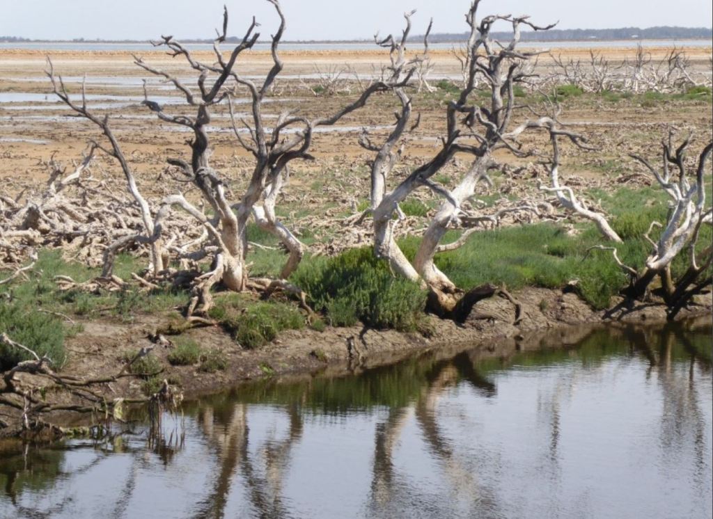 Thumbnail for Dry Creek salt field prepares for green future