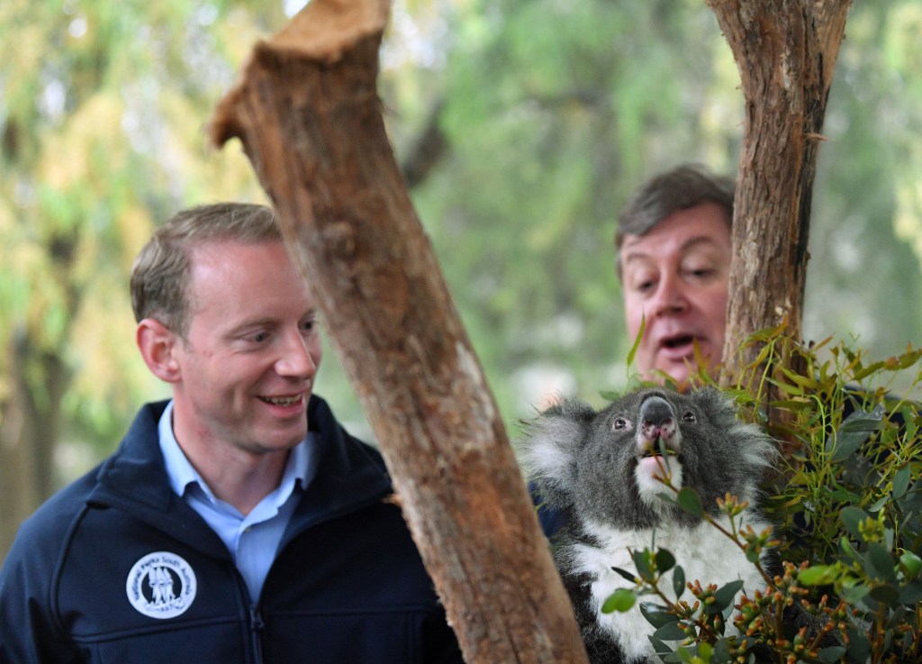 Thumbnail for Speirs at odds with CE over Environment Department restructure