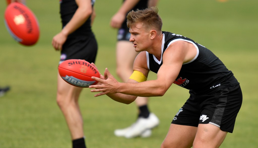 Thumbnail for Power’s Wines under AFL virus investigation