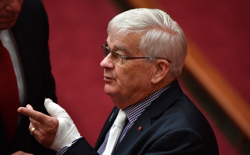 Thumbnail for Hanson’s key adviser booted after Parliamentary punch-up