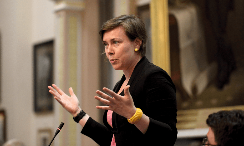 South ward councillor Dr Helen Donovan. Photo: Tony Lewis / InDaily