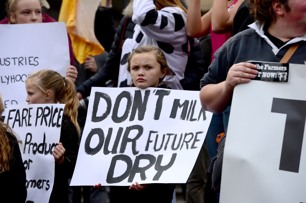 Thumbnail for Coles, Aldi to lift milk prices to help struggling dairy farmers